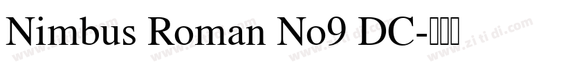 Nimbus Roman No9 DC字体转换